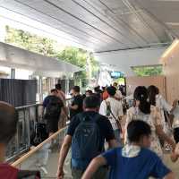 第六代山頂纜車 來回套票限時優惠活動