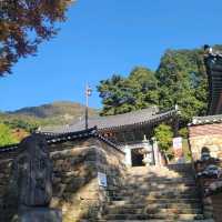 단풍여행 동학사