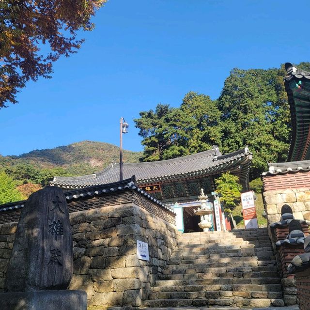 단풍여행 동학사