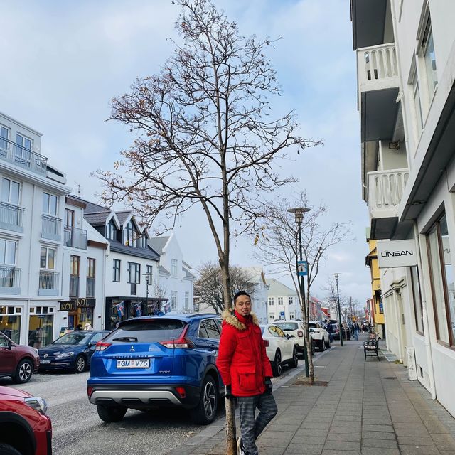 city tour in reykjavik