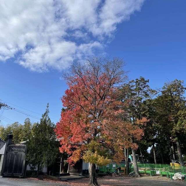 【京都府】特別公開実施中の東福寺山門！