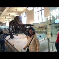 มาเที่ยว American Museum of Natural History ค่ะ