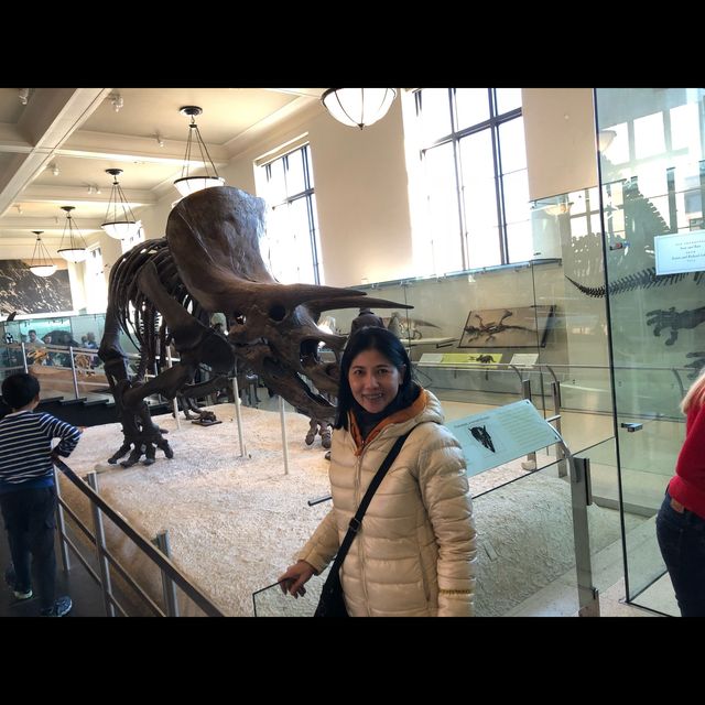 มาเที่ยว American Museum of Natural History ค่ะ