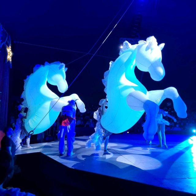 Splendid, Spectacular, Encore!