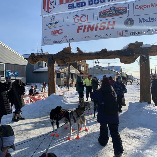 Witness the Iditarod dog sled race in Nome