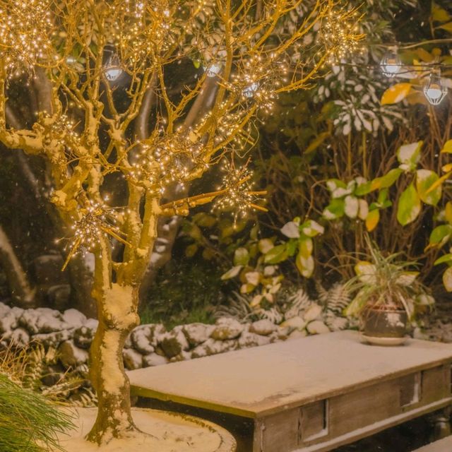 🎄이색적인 거꾸로 트리가 예쁜 연말에가기좋은 카페 [제주, 마마롱]
