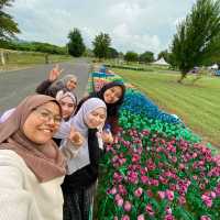 Timah Tasoh Lake, Perlis