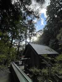 【福岡】九州のお伊勢さん