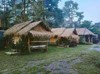 ดื่มด่ำกับธรรมชาติได้ที่ "บ้านกลางสวน โฮมสเตย์"