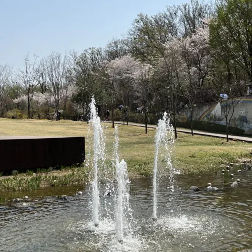 韓国/ソウル【江北区】ソウル西側の大きな公園🌸