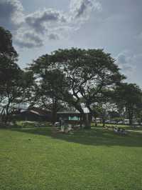 คาเฟ่สไตล์สวน Mulberry Mellow กาญจนบุรี