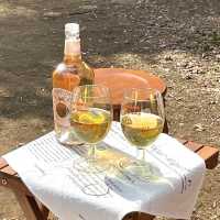 📌mimi picnic rental