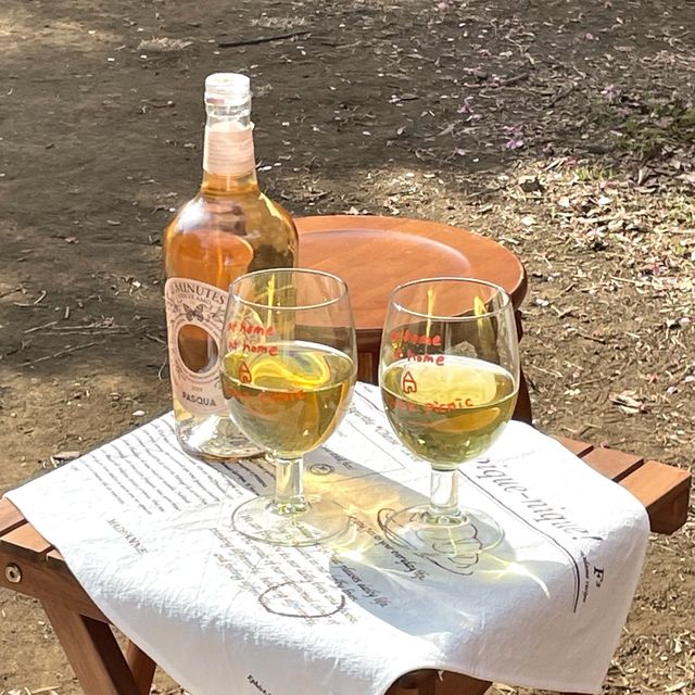 📌mimi picnic rental