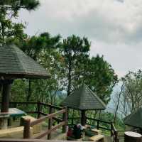 Tagaytay Picnic Grove