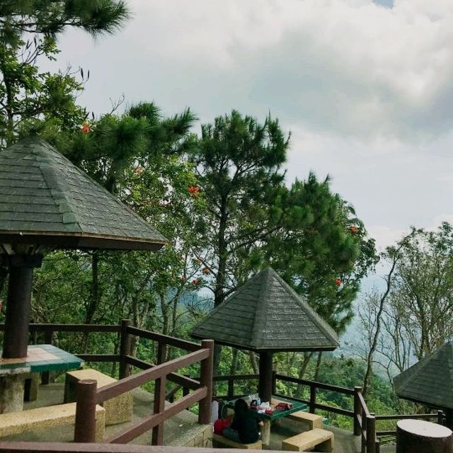 Tagaytay Picnic Grove