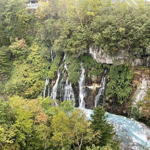 北海道　美瑛町　白ひげの滝