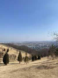 겨울에 가장 예쁜 인천 산, 계양산