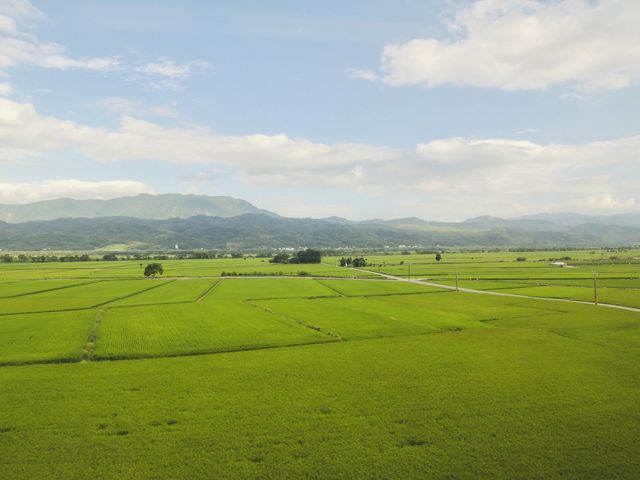 在池上看見樂園