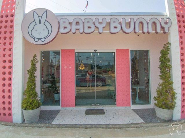 Baby Bunny Cafe คาเฟ่กระต่ายใกล้เมืองเชียงใหม่