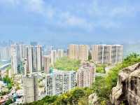 港島劏青蛙