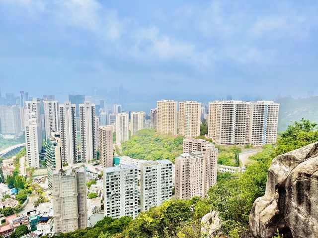 港島劏青蛙