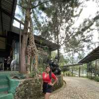 Dahilayan Forest Park Resort 🍃
