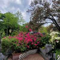 香港好去處 ～ 荔枝角公園 