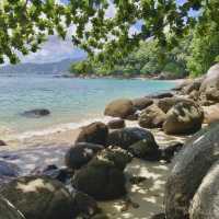 paradise beach ภูเก็ต