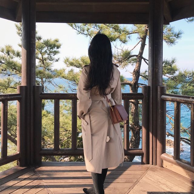 한국의 나폴리, 삼척 "장호항"
