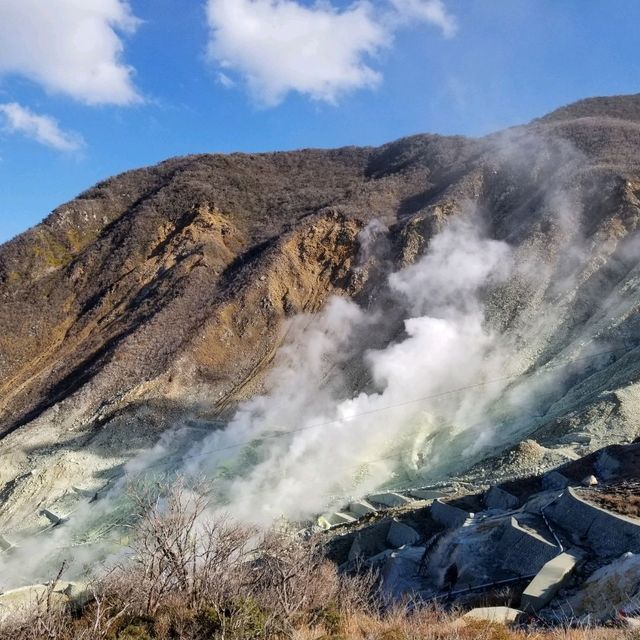 箱根景點:大涌谷-硫磺沸騰火山山谷