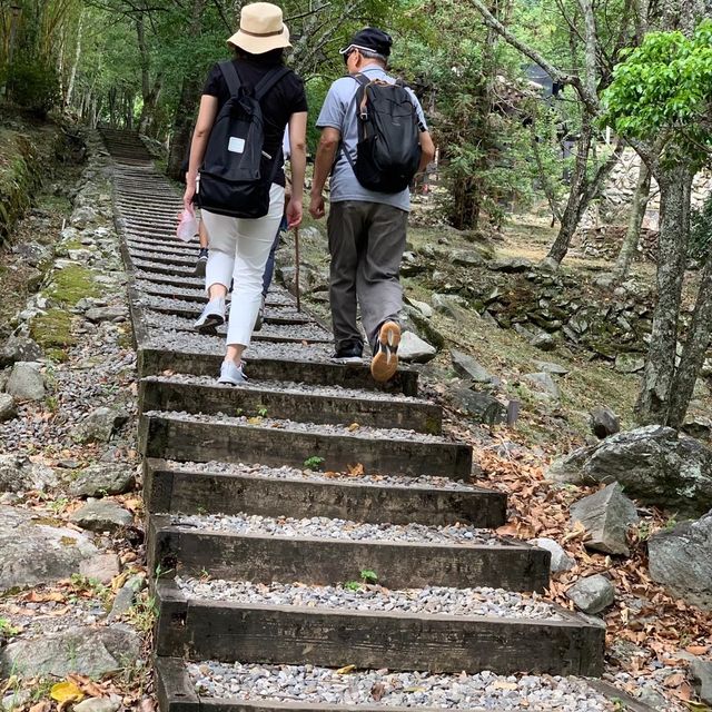 谷關七雄-八仙山