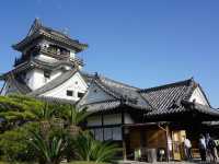 Kochi Castle 