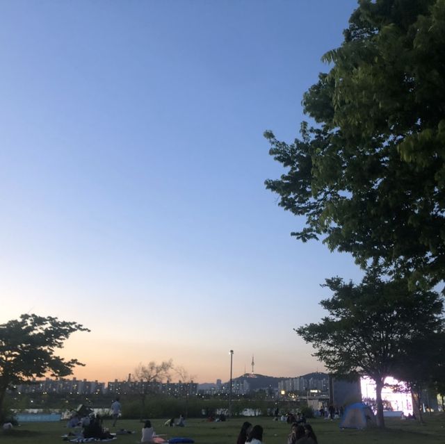 여름의 막바지 한강 피크닉_반포 한강공원