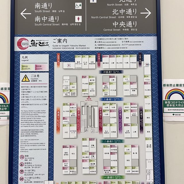【東京】豊洲市場を見学しに行ってきた！