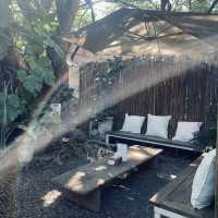 9th September Eat Drink Tree
