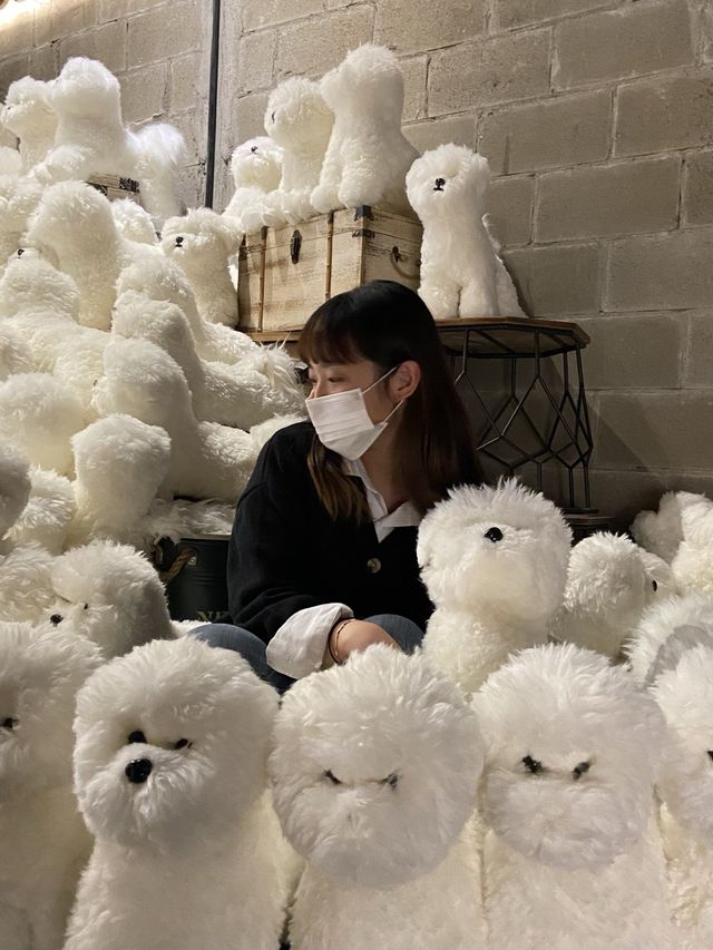 대구 강아지 천국 대형 카페 [더디퍼]
