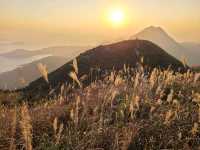 【秋冬賞芒系列~大東山🌾】