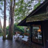Vanilla Hhill (Hill lodge) เชียงใหม่