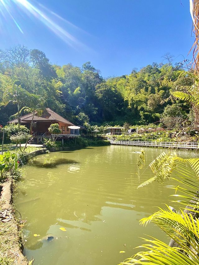 ที่พักสวย สวนองุ่นนิศาชล | เชียงดาว | เชียงใหม่