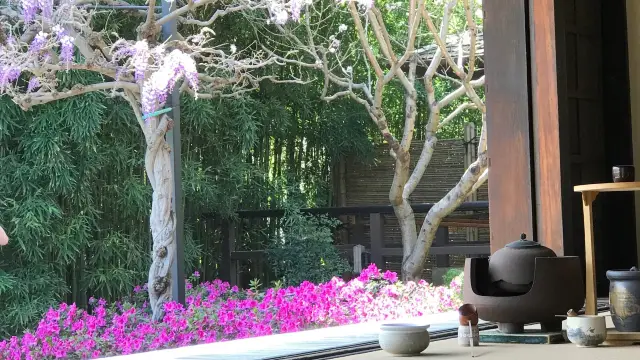 Elegent Japanese garden in Huntington Library