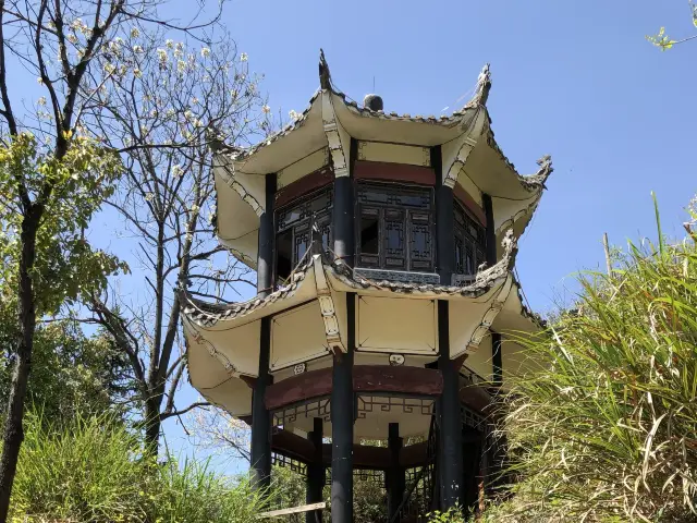 Huangling Scenic Area - Wuyuan 