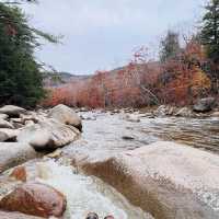 Lower Falls Recreation Site 