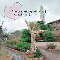 ひらかたパークの可愛い動物たち