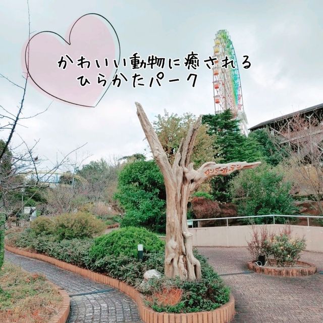 ひらかたパークの可愛い動物たち