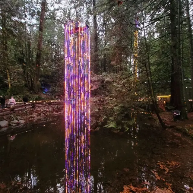 Capilano Suspension Bridge星光夢幻之旅