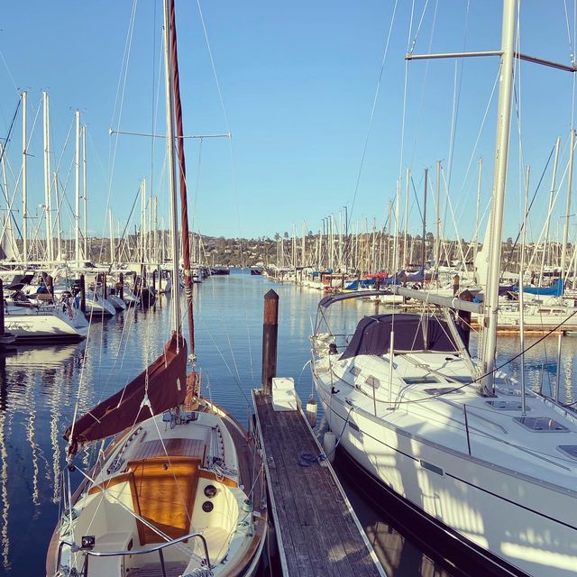 Magnificent bayside city of Sausalito