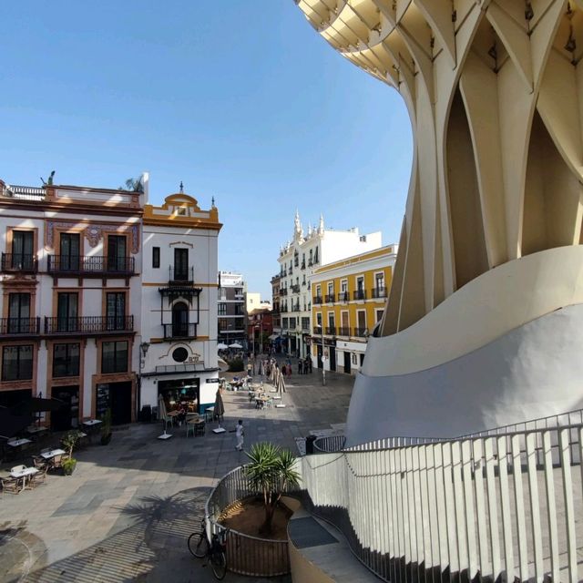 Mushrooms of Seville 