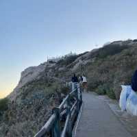 리카베투스 산으로🕺