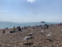 布萊頓一日遊 A day trip to Brighton