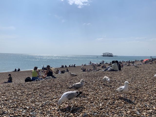 布萊頓一日遊 A day trip to Brighton